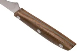 Due Cigni 1896, 2C1012NO Cuchillo Para Filetear 18 Cm, Madera De Nogal -Chef Tienda DG2C1012NO 04 due signi 1896