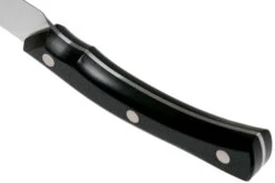 Due Cigni Arne Line Cuchillo Para Pelar 10 Cm, Negro -Chef Tienda DG2C901 04 due cigni arne