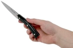 Due Cigni Arne Line Cuchillo Para Pelar 10 Cm, Negro -Chef Tienda DG2C901 06 due cigni arne