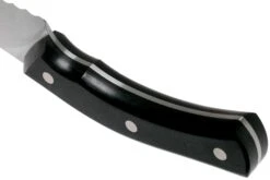 Due Cigni Arne Line Cuchillo Para Pan 23 Cm, Negro 9 Due Cigni Arne Line Cuchillo Para Pan 23 Cm, Negro -Chef Tienda DG2C903 04 due cigni arne