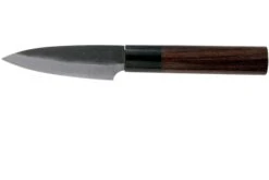 Eden Kanso Aogami Cuchillo Puntilla, 10 Cm
