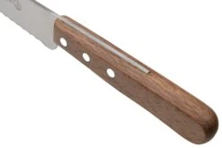 Messermeister Future 22-02034 Cuchillo De Pan, 31 Cm -Chef Tienda MR22 02034 05 messermeister