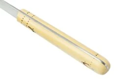 Nontron Traditional Range, 10 Cm TOF10RBU, Cuchillo Puntilla -Chef Tienda NNTOF10RBU 05 nontron