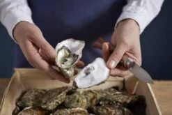 Opinel Cuchillo De Ostras N°09 -Chef Tienda OP001616 07 opinel oestermes op001616 08