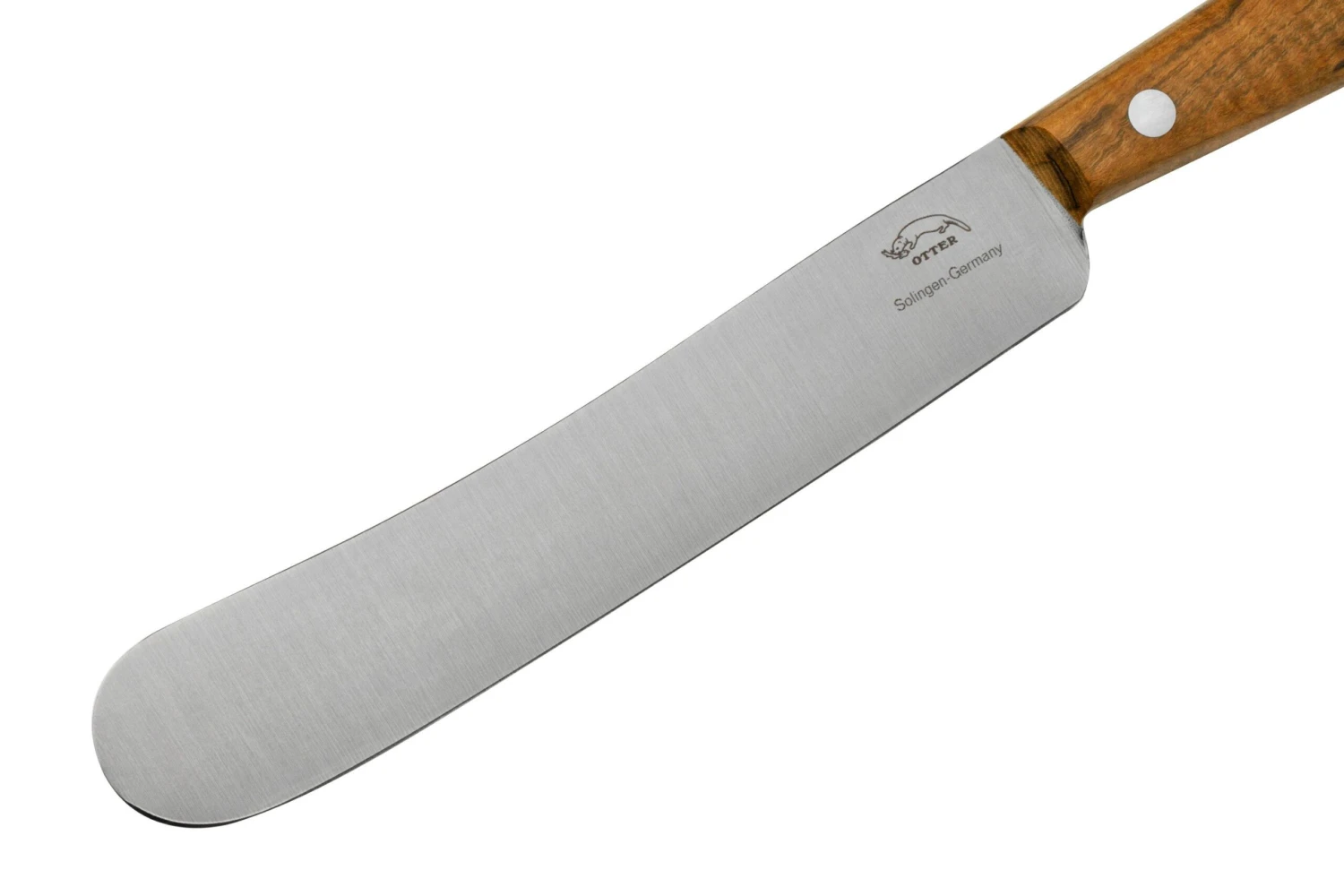 Otter Tafel Cuchillo De Mesa De Acero Inoxidable Pistacho 12,5 Cm 3 Otter Tafel Cuchillo De Mesa De Acero Inoxidable Pistacho 12,5 Cm - Image 3