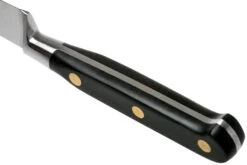 Lion Sabatier Idéal Cuchillo Puntilla 10 Cm, 711080 8 Lion Sabatier Idéal Cuchillo Puntilla 10 Cm, 711080 -Chef Tienda SA1372 04 04 lion sabatier v202006