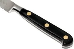 Lion Sabatier Idéal Cuchillo Multiusos 12 Cm, 712980 9 Lion Sabatier Idéal Cuchillo Multiusos 12 Cm, 712980 -Chef Tienda SA712980 04 lion sabatier ideal inox sa712980 04