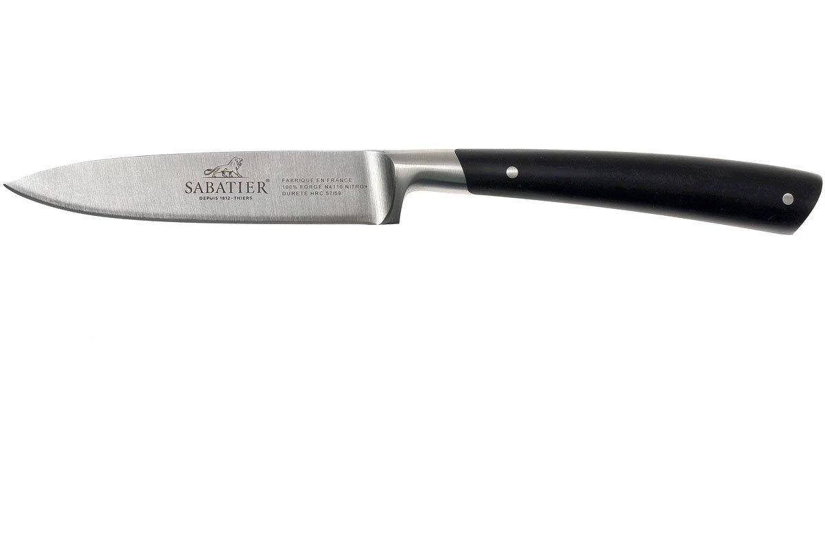 Lion Sabatier Edonist Cuchillo Puntilla 10 Cm, 806380 1 Lion Sabatier Edonist Cuchillo Puntilla 10 Cm, 806380
