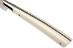 Lion Sabatier Edonist Perle Cuchillo Puntilla 10 Cm, Blanco, 806381 -Chef Tienda SA806381 05 lion sabatier edonist perie sa806381 05