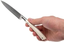 Lion Sabatier Edonist Perle Cuchillo Puntilla 10 Cm, Blanco, 806381 -Chef Tienda SA806381 07 lion sabatier edonist perie sa806381 07