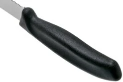 Victorinox SwissClassic 6.8633.21G Cuchillo Para Pan Negro 21 Cm -Chef Tienda VT6 8633 21G 04 victorinox