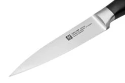 Zwilling All Star 1022777, Juego 2 De Cuchillos, Cuchillo De Chef Y Cuchillo Puntilla, Negro -Chef Tienda ZW1022777 03 zwilling