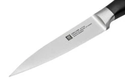 Zwilling All Star 1022778, Juego De 2 Cuchillos, Cuchillo De Chef Y Cuchillo Puntilla, Plata -Chef Tienda ZW1022778 03 zwilling